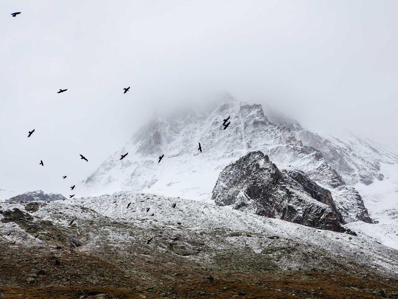 sudoku sound effects screenshot 2